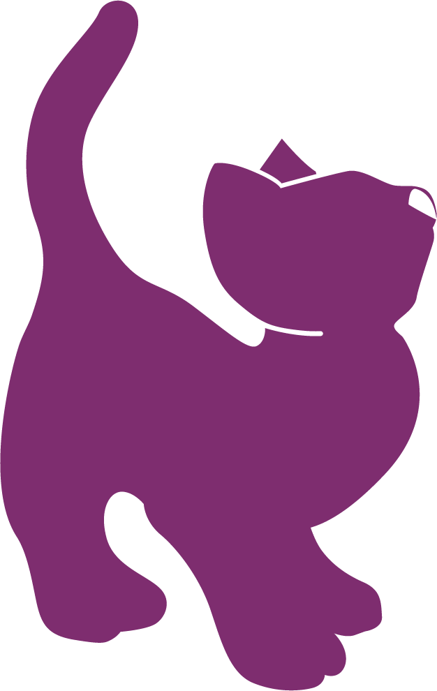 Purple cat