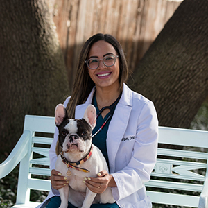 Dr. Dalied Rodriguez